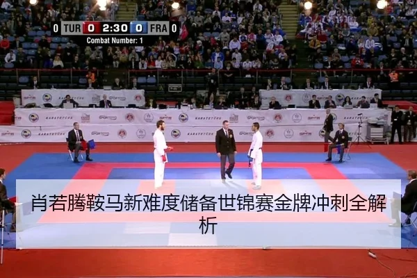 xiao-ruo-teng-an-ma-xin-nan-du-chu-bei-shi-jin-sai-jin-pai-chong-ci-quan-jie-xi-2-504.jpg